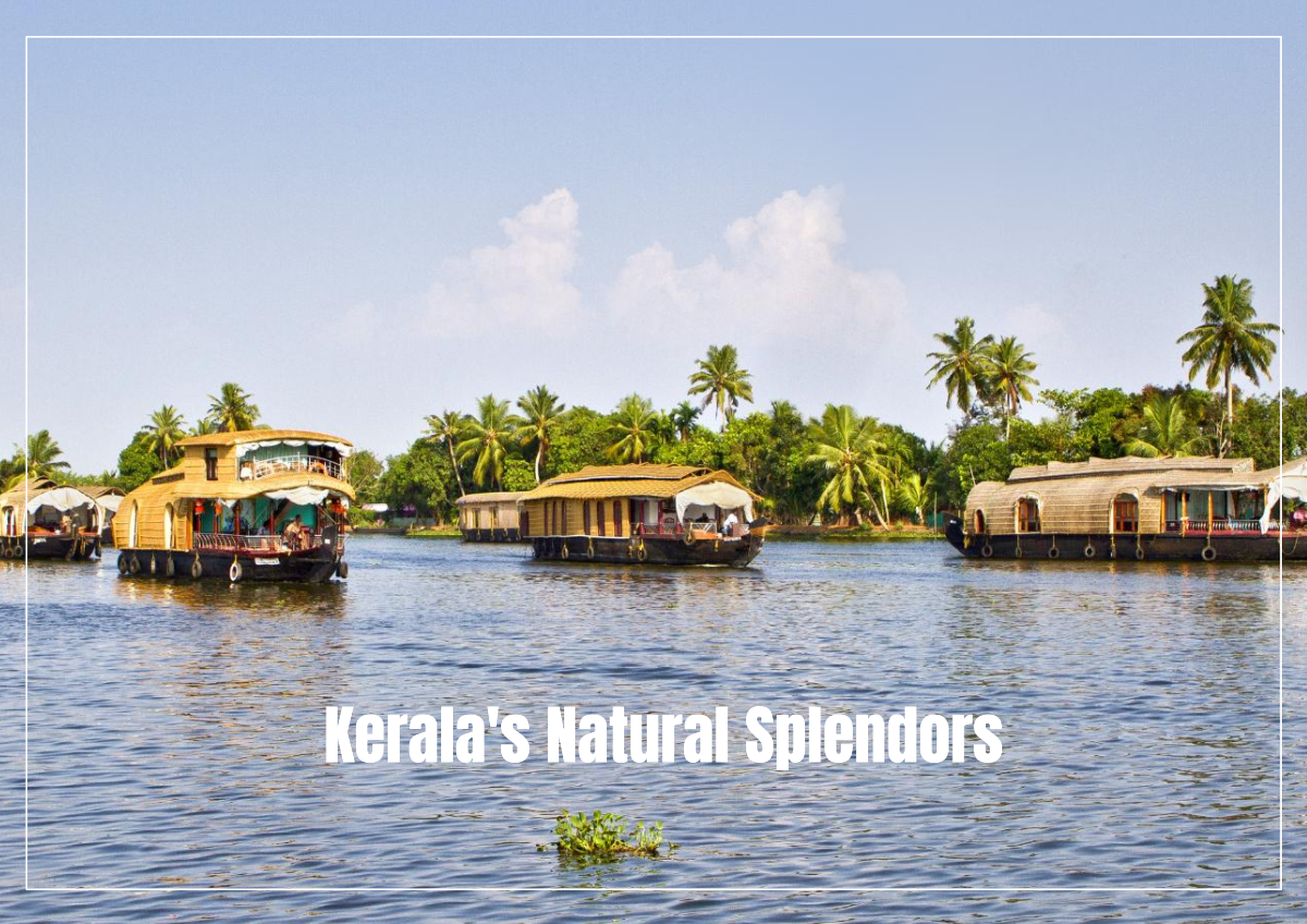 Kerala Tour Package