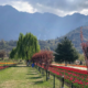 kashmir-tour-packages