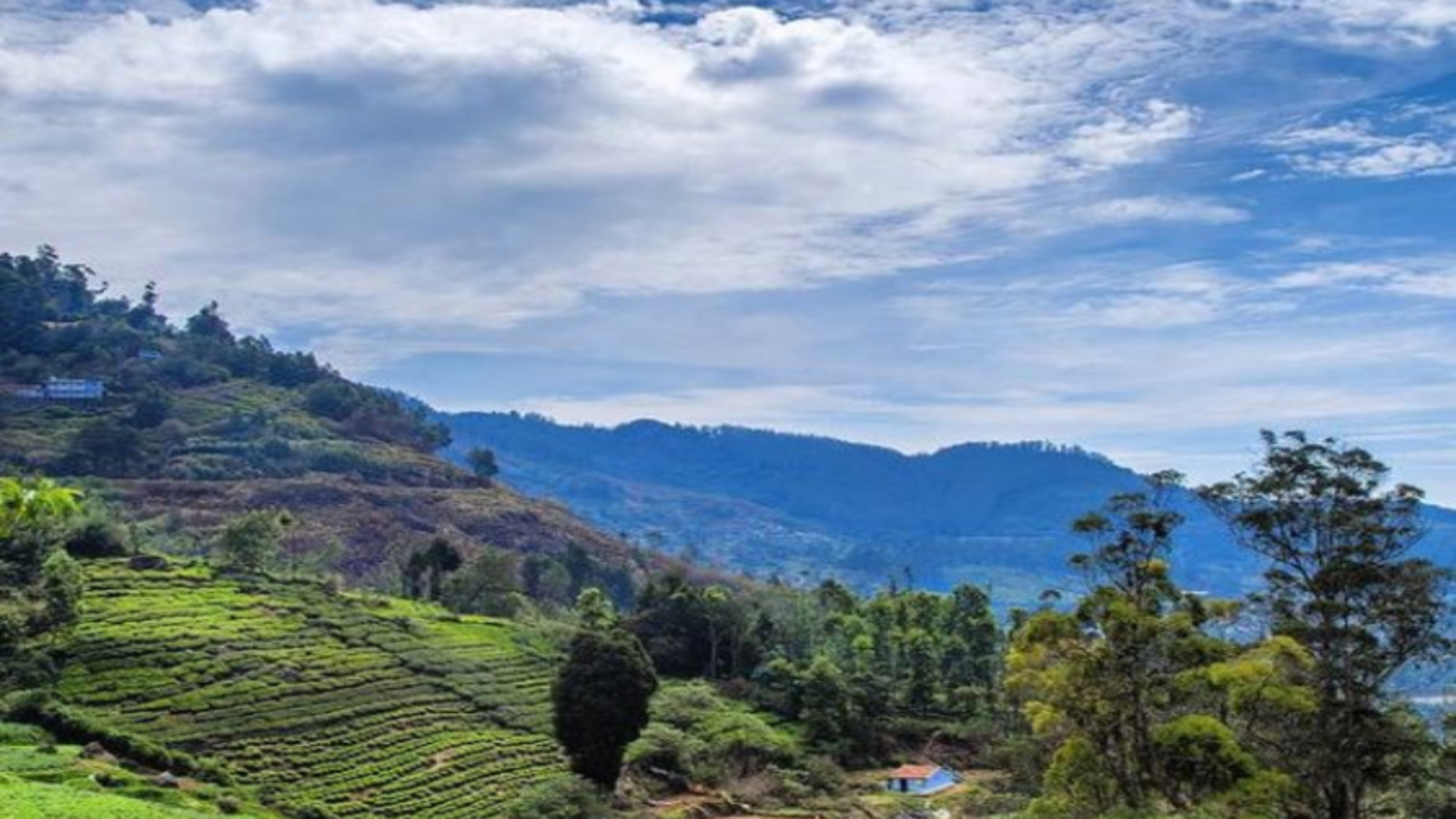 Most Popular Places in ooty