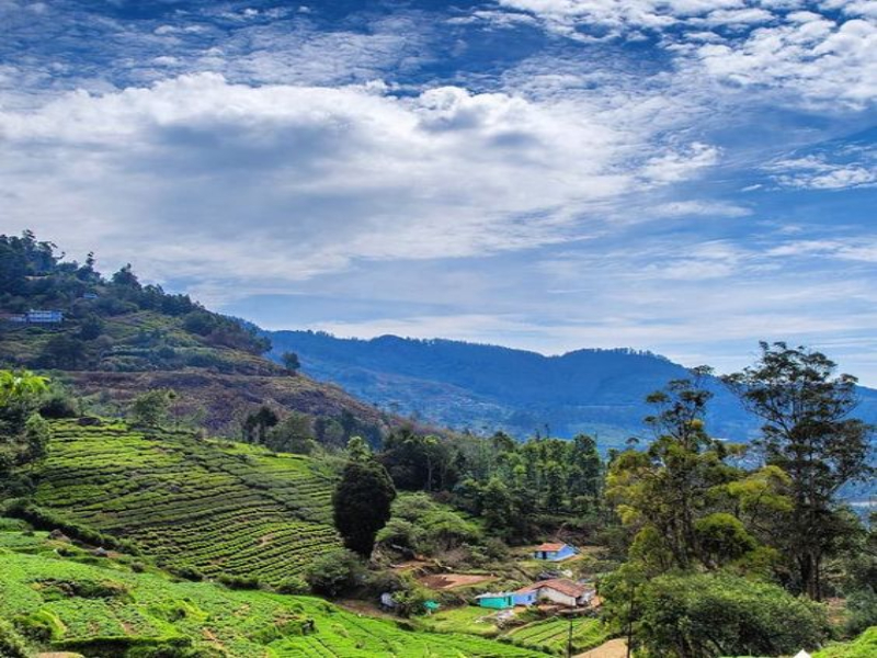 Most Popular Places in ooty