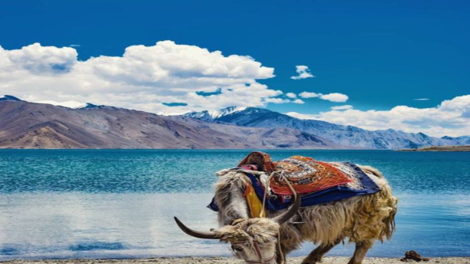 best time to visit Ladakh