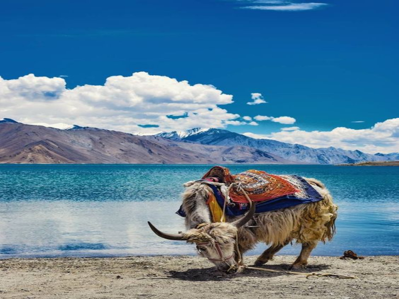 best time to visit Ladakh