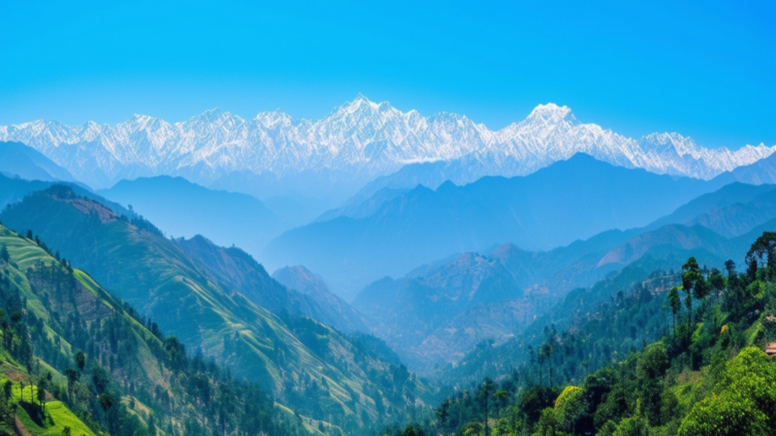 Kausani trekking